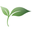 George Ayoub Carpet & Rug Care logo