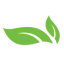 Green Home Solutions Mold Remediation logo