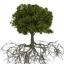 North Hills Tree Service logo