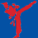 Young Brothers Tae Kwon Do - Cranberry logo